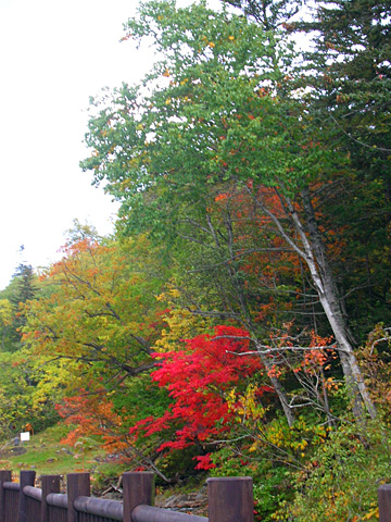 041002_fall02.JPG