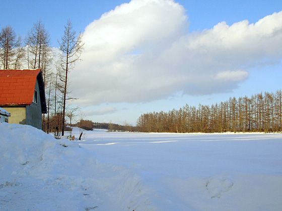 041214_winter04.JPG