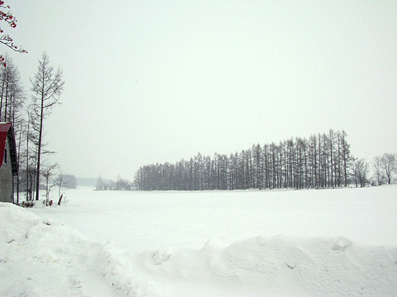 041215_winter05.JPG