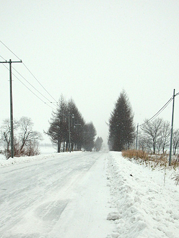 041215_winter07.JPG