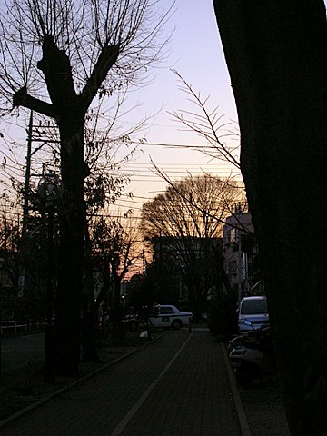 060129_sunset.JPG