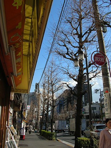 060320_jinbocho.JPG